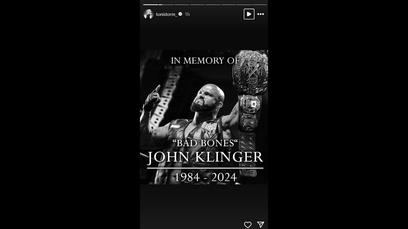 Storm&#039;s recent story on John Klinger&#039;s passing [Image source: star&#039;s Instagram handle]