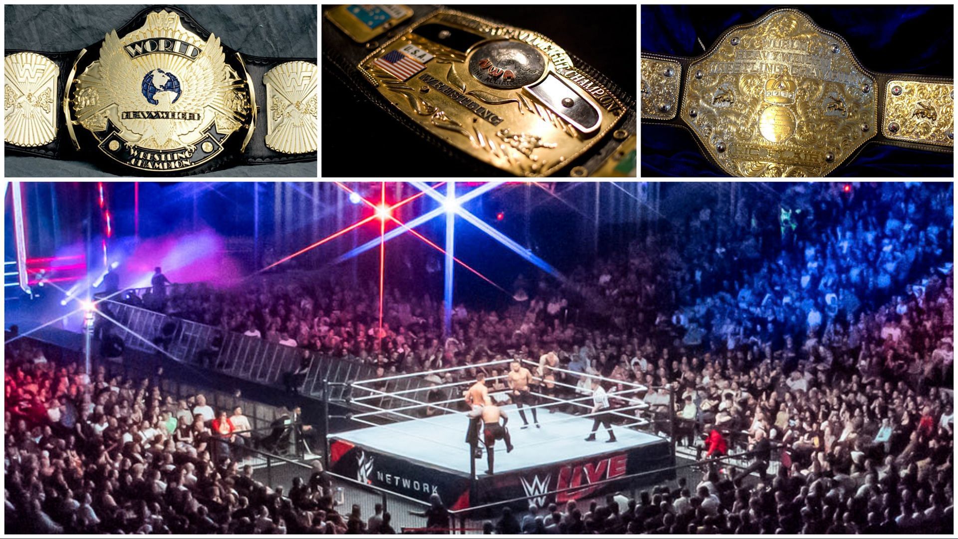 The Winged-Eagle WWE Championship, the NWA Worlds Heavyweight Championship, The Big Gold Belt, WWE fans watch a match