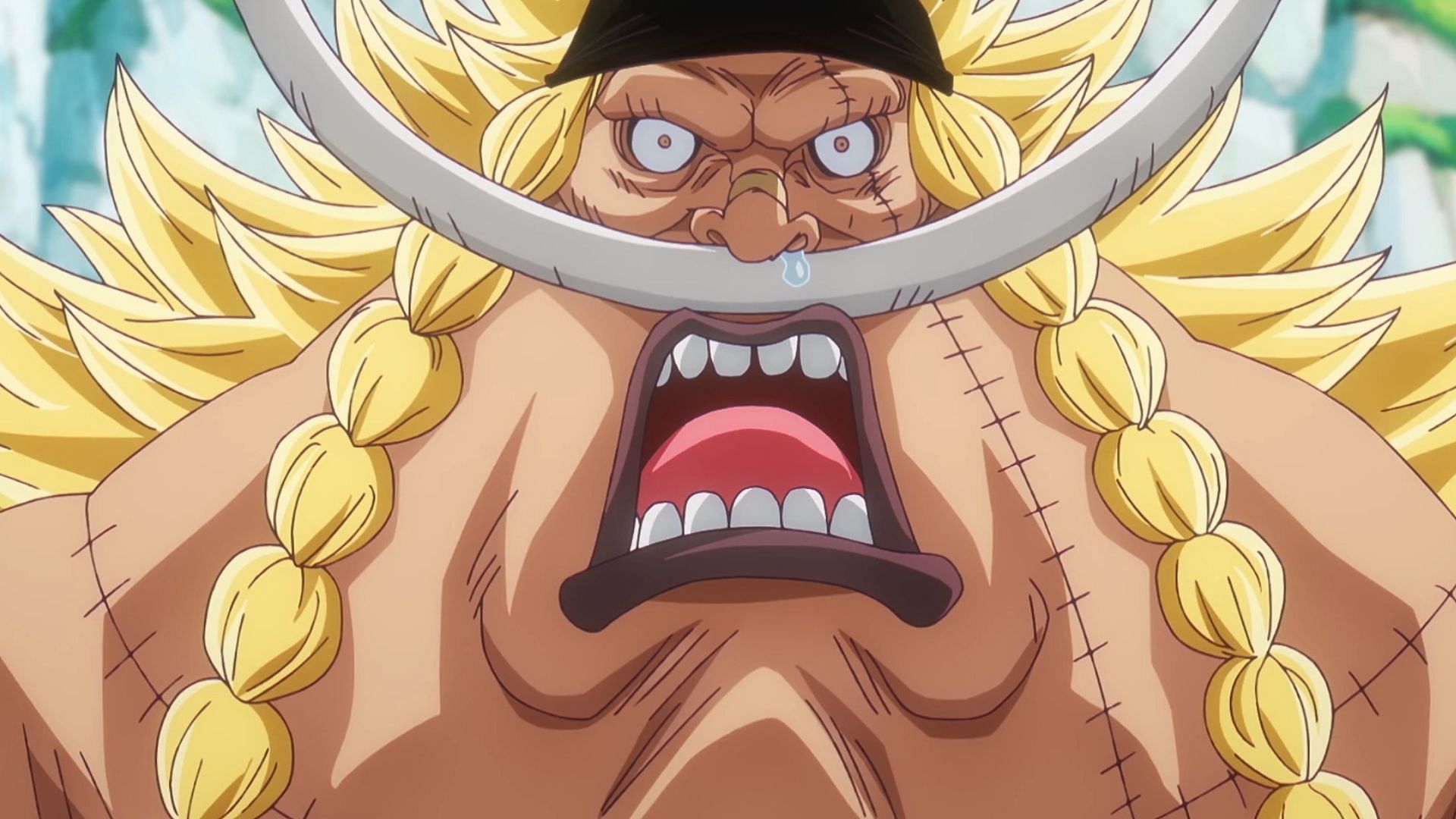 Weevil as seen in One Piece episode 1105 (Image via Toei Animation)