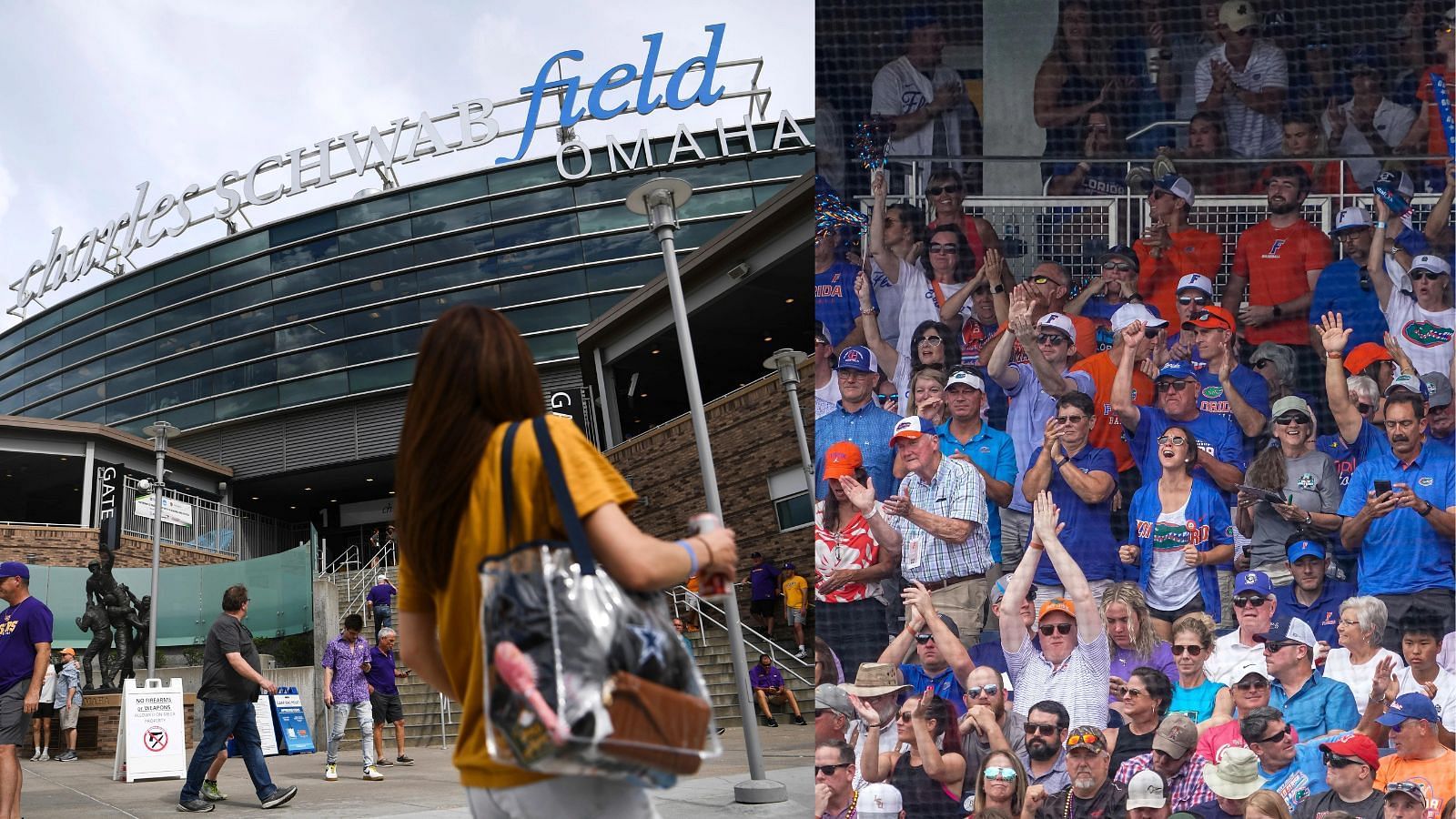 Inside and outside, the College World Series is a massive college baseball experience.