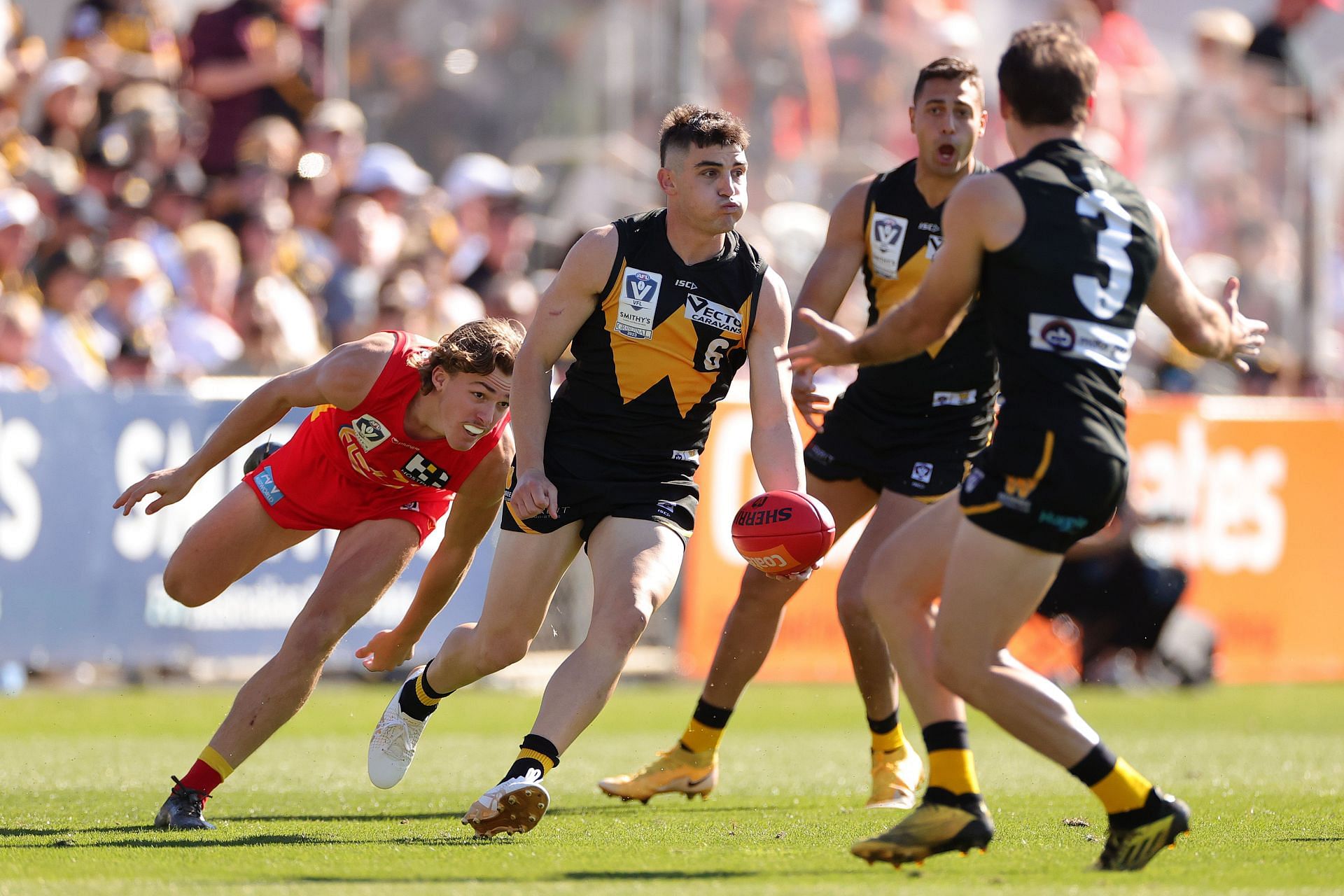 VFL Grand Final - Gold Coast v Werribee