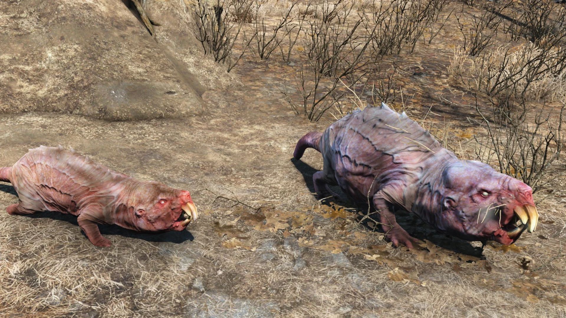 Best locations to find mole rats in Fallout 76 (Image via Bethesda Game Studios)