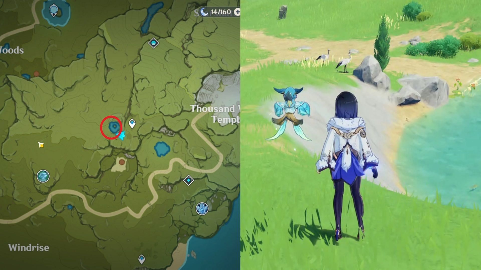 You can find two Azure Crane on Starsnatch Cliff (Image via HoYoverse)
