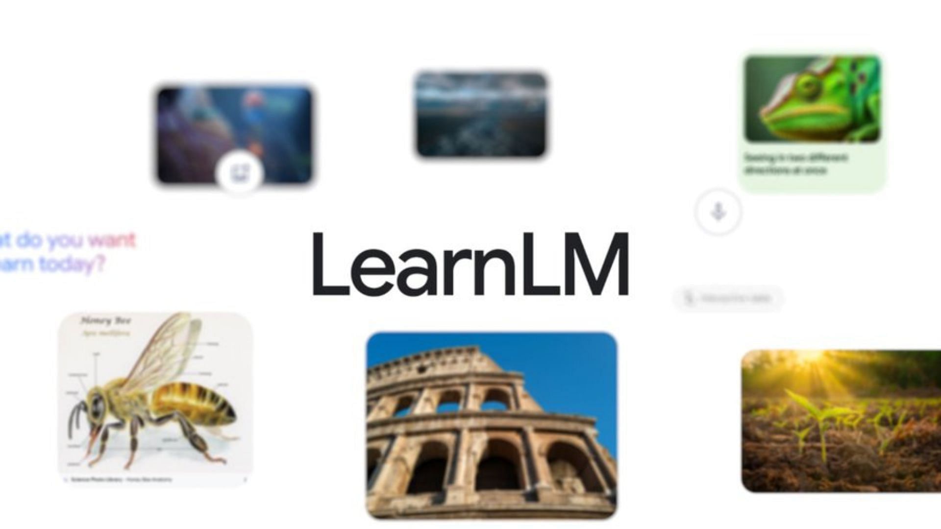 Learn LM is another feature introduced at the Google I/O event (Image via X/Google)
