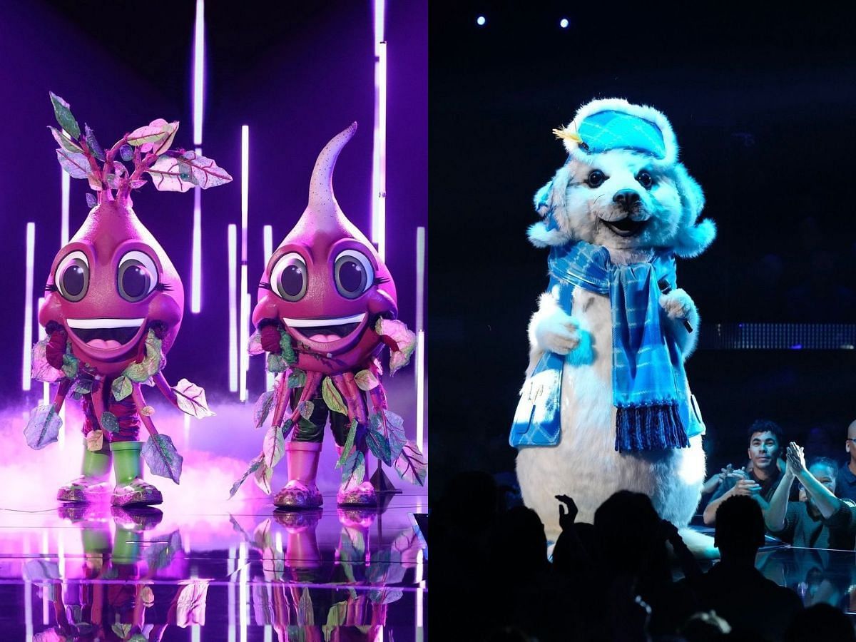 Beets and Seal eliminated from The Masked Singer