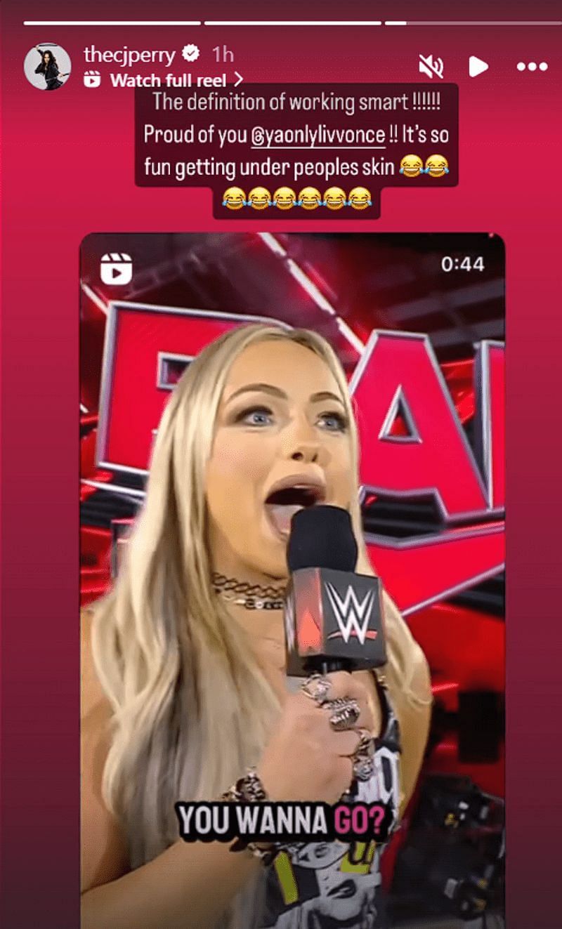A screengrab of CJ Perry&#039;s Instagram story.