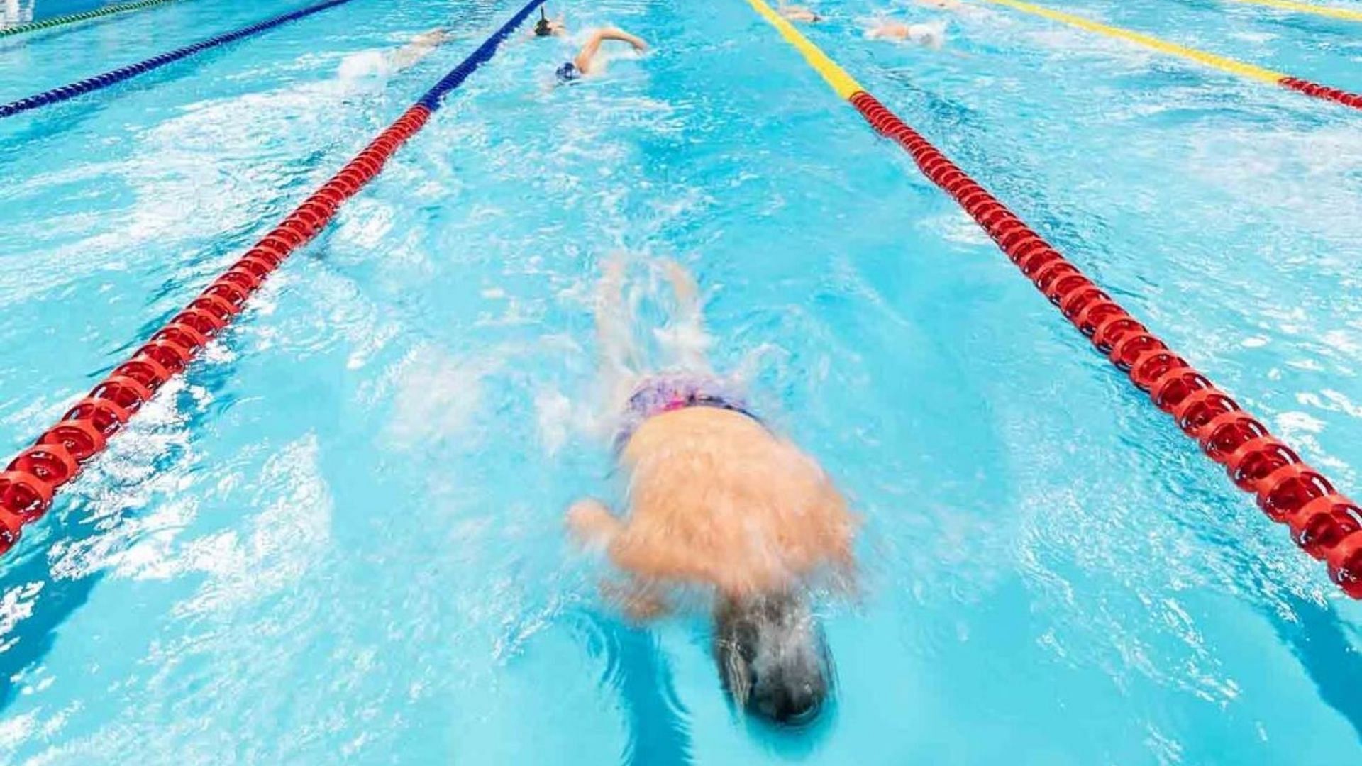 Canadian Swimming Trials 2024 Day 3 Results Sebastien Massabie breaks