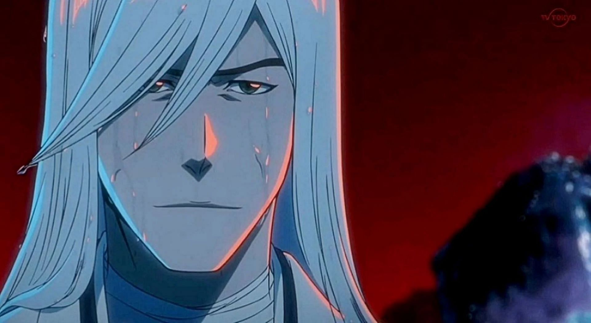 Jushiro, as seen in the anime (Image via Studio Pierrot)