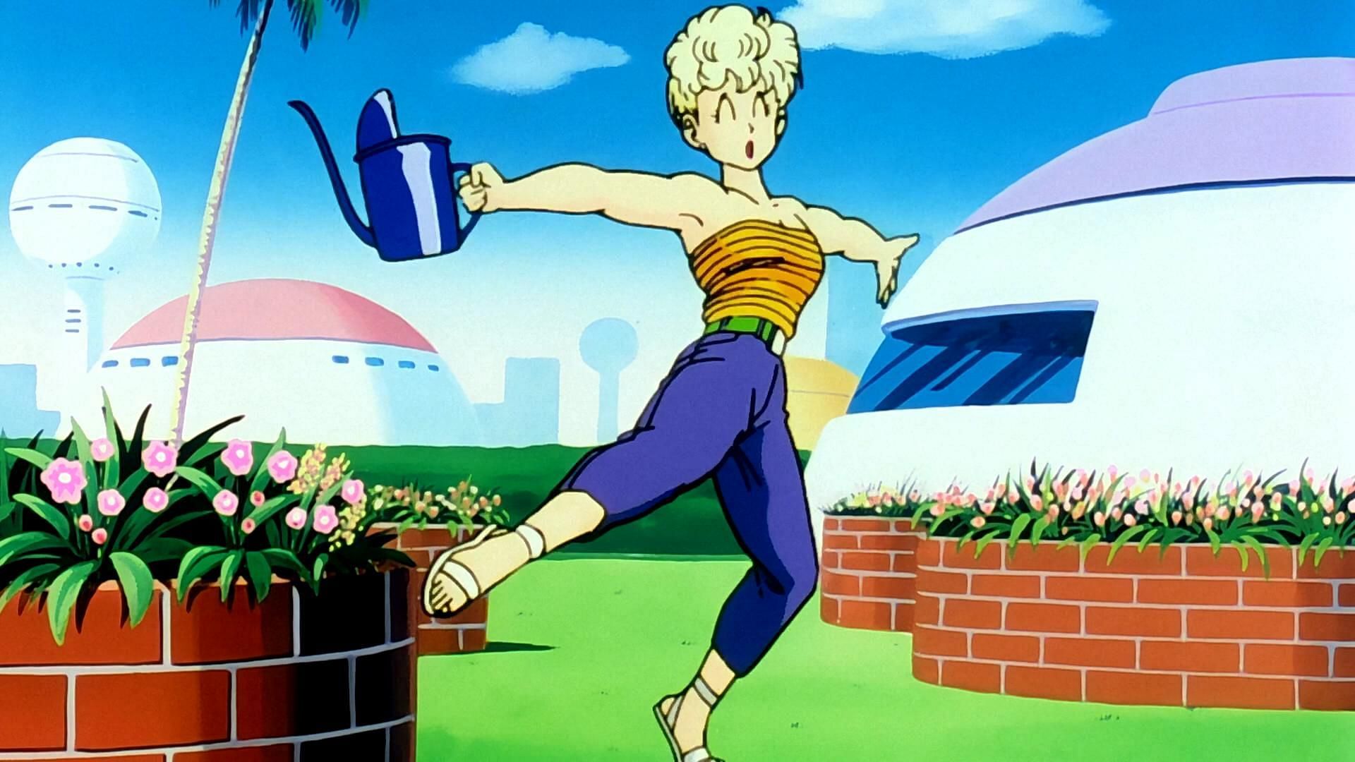 Panchy Briefs as shown in the anime (Image via Toei Animation)