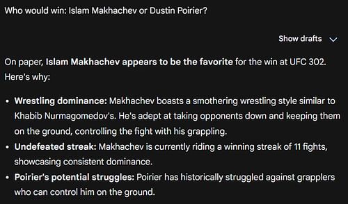 Google AI on Islam Makhachev's chances