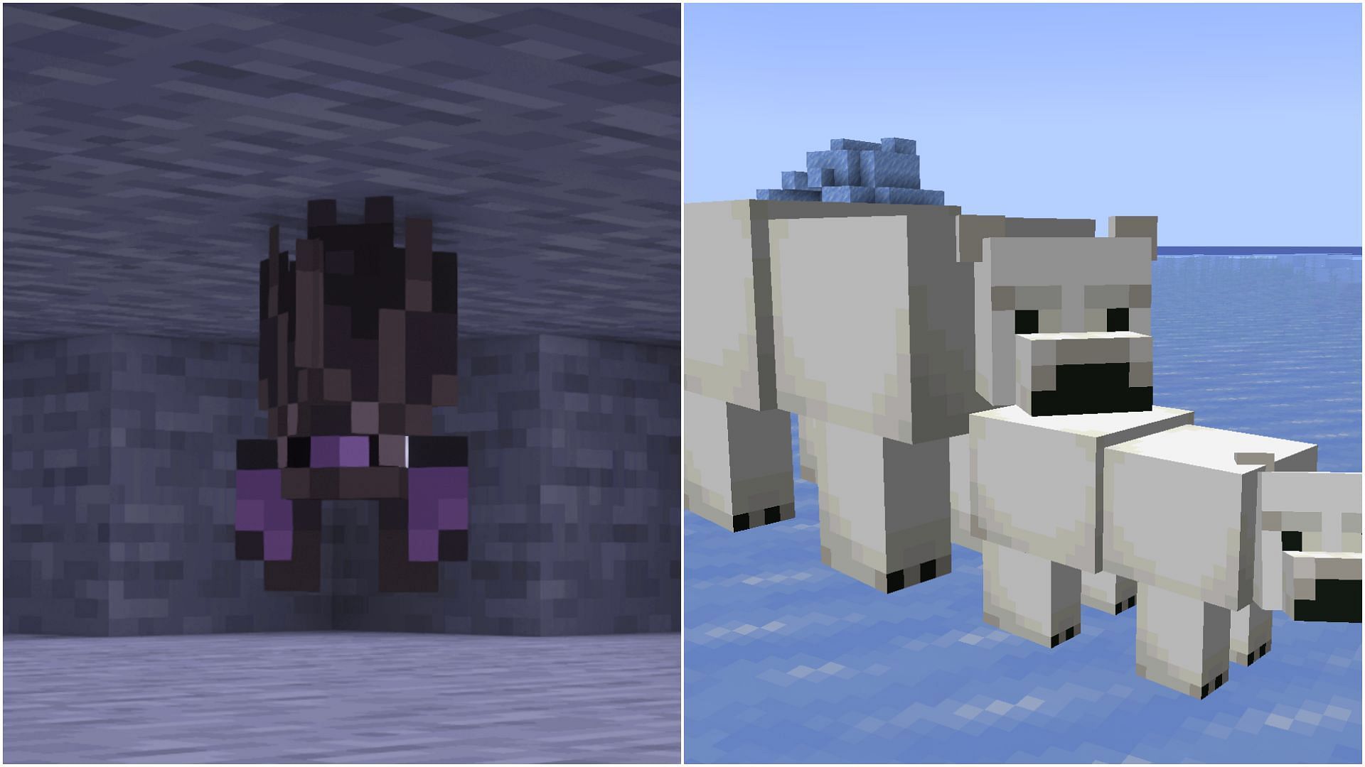 Some mobs that players hardly interact with in Minecraft (Image via Mojang Studios)