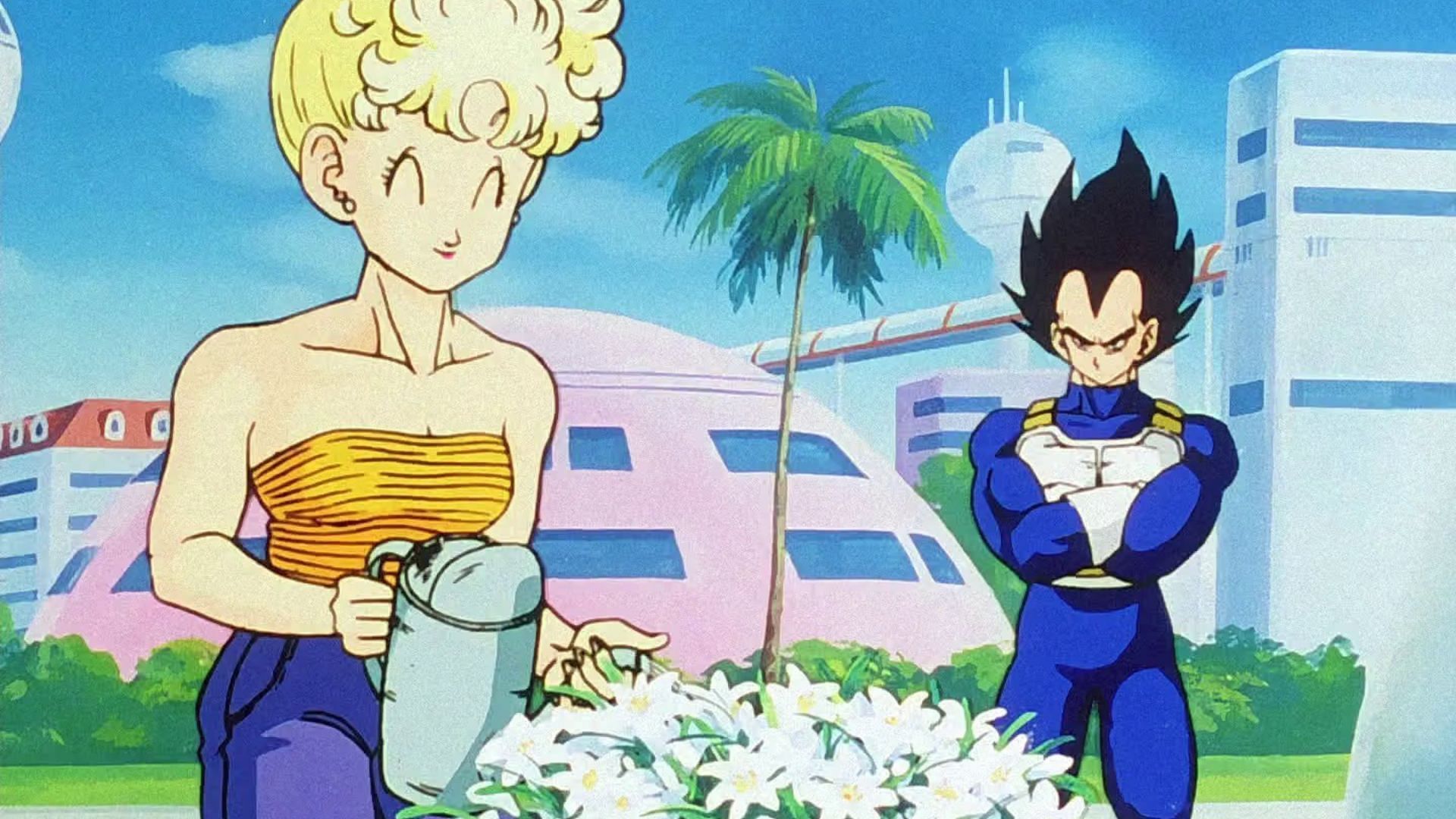 Panchy is Vegeta&#039;s mother-in-law (Image via Toei Animation)