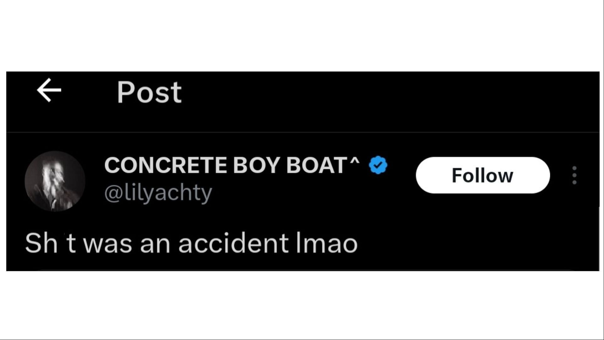Yachty claimed that he accidentally liked the post, (Image via @lilyachty/X)