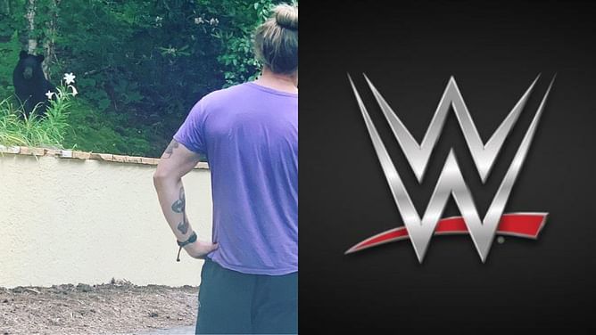 WWE legend reportedly “hurt” following scary spot at AEW Double or Nothing