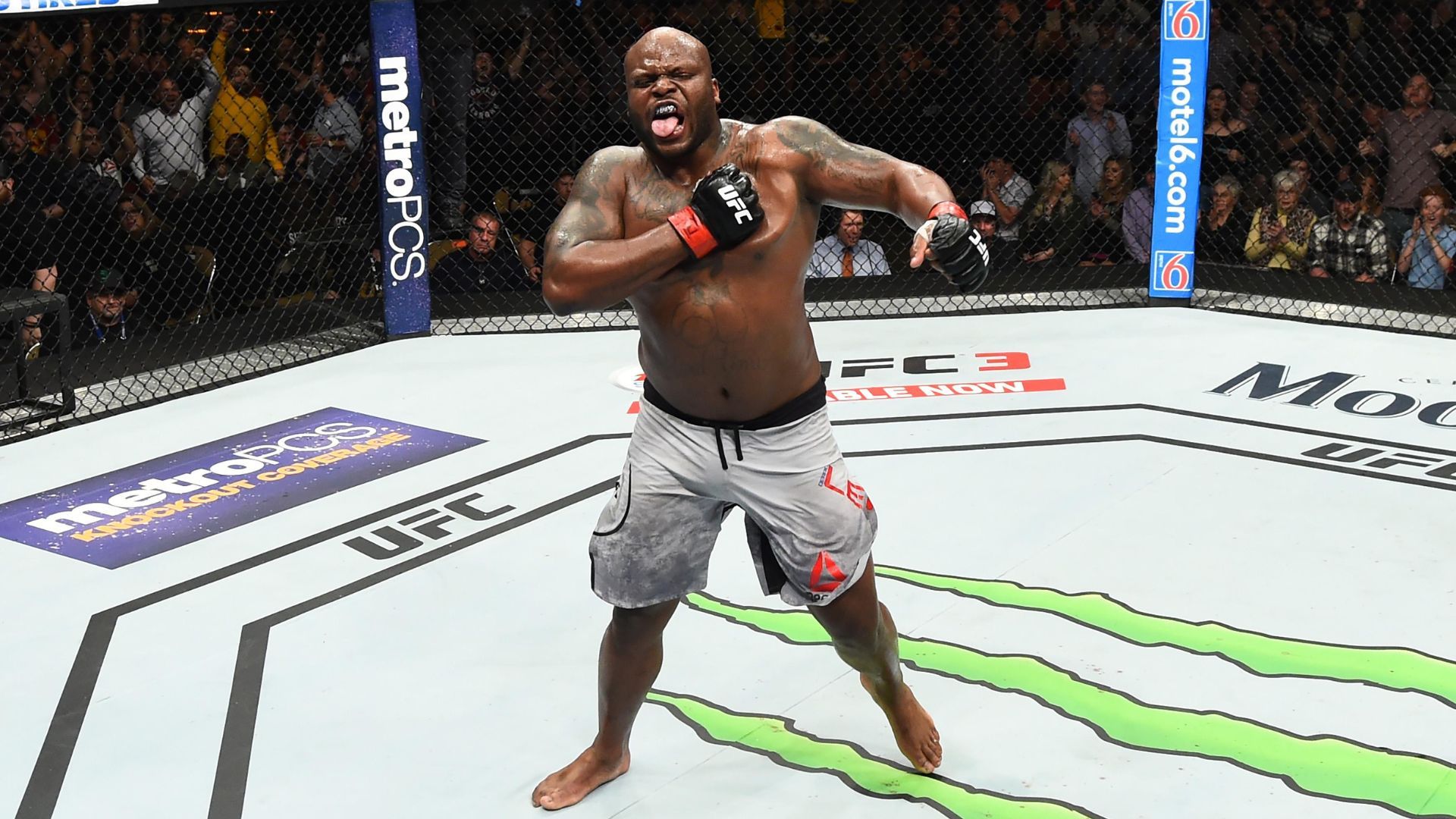 Derrick Lewis is a UFC fighter 