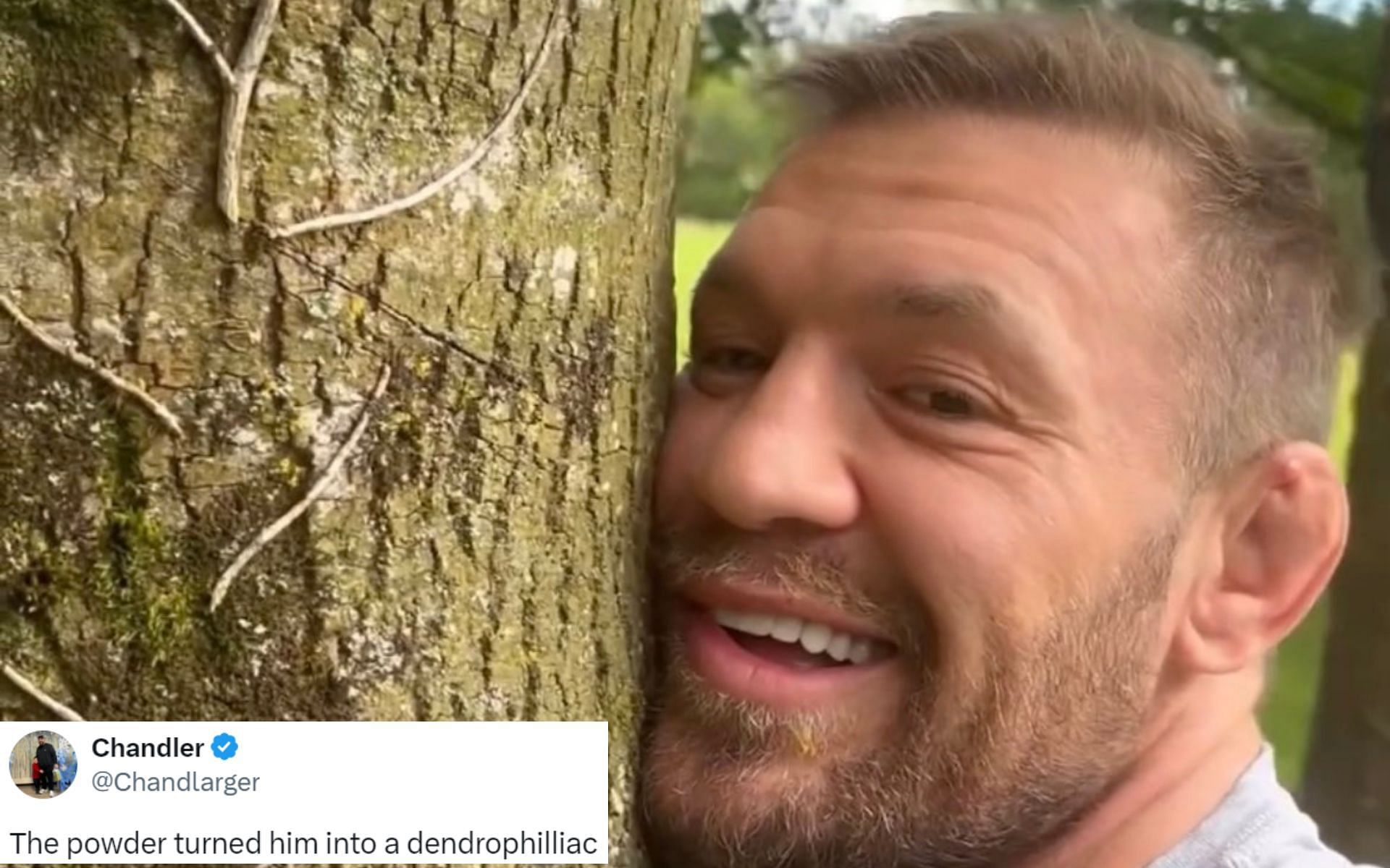 Conor McGregor shared footage hugging a tree [Image credits: ChampRDS/Twitter]