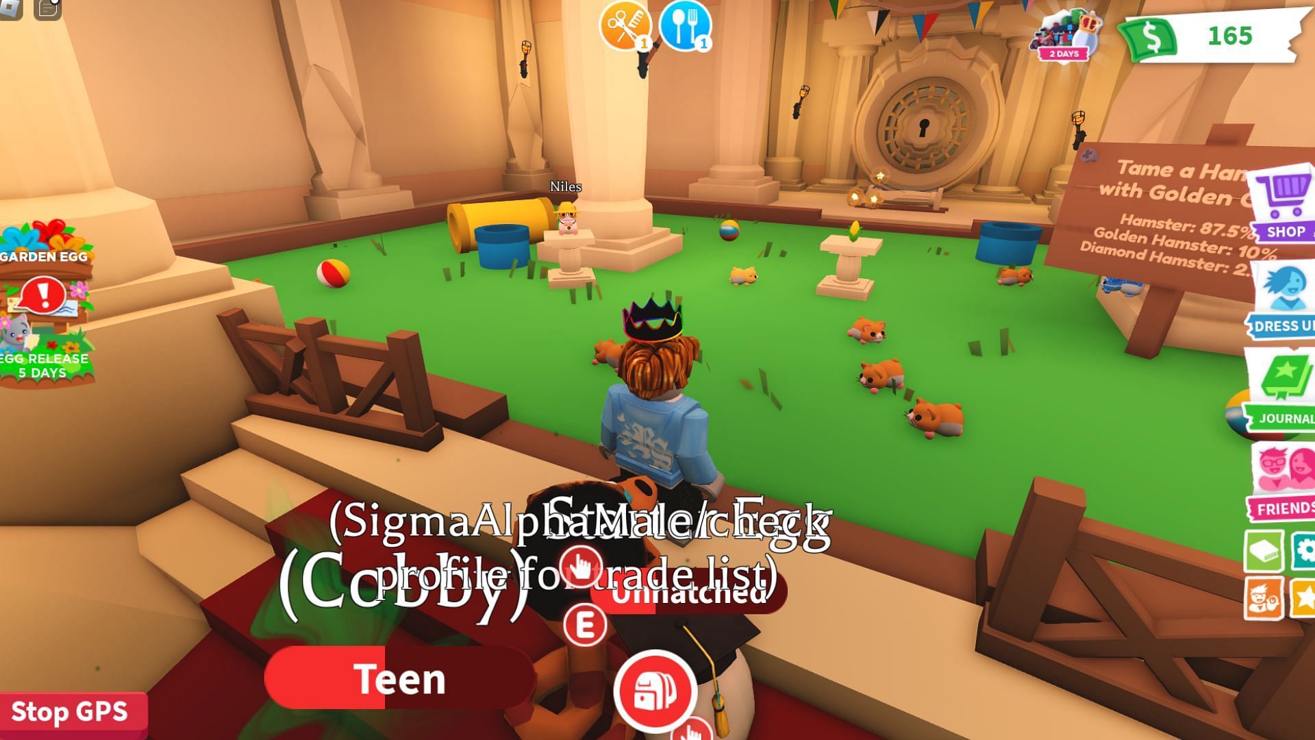 Players can give a variety of names to their pets in the game (Image via Roblox || Sportskeeda)