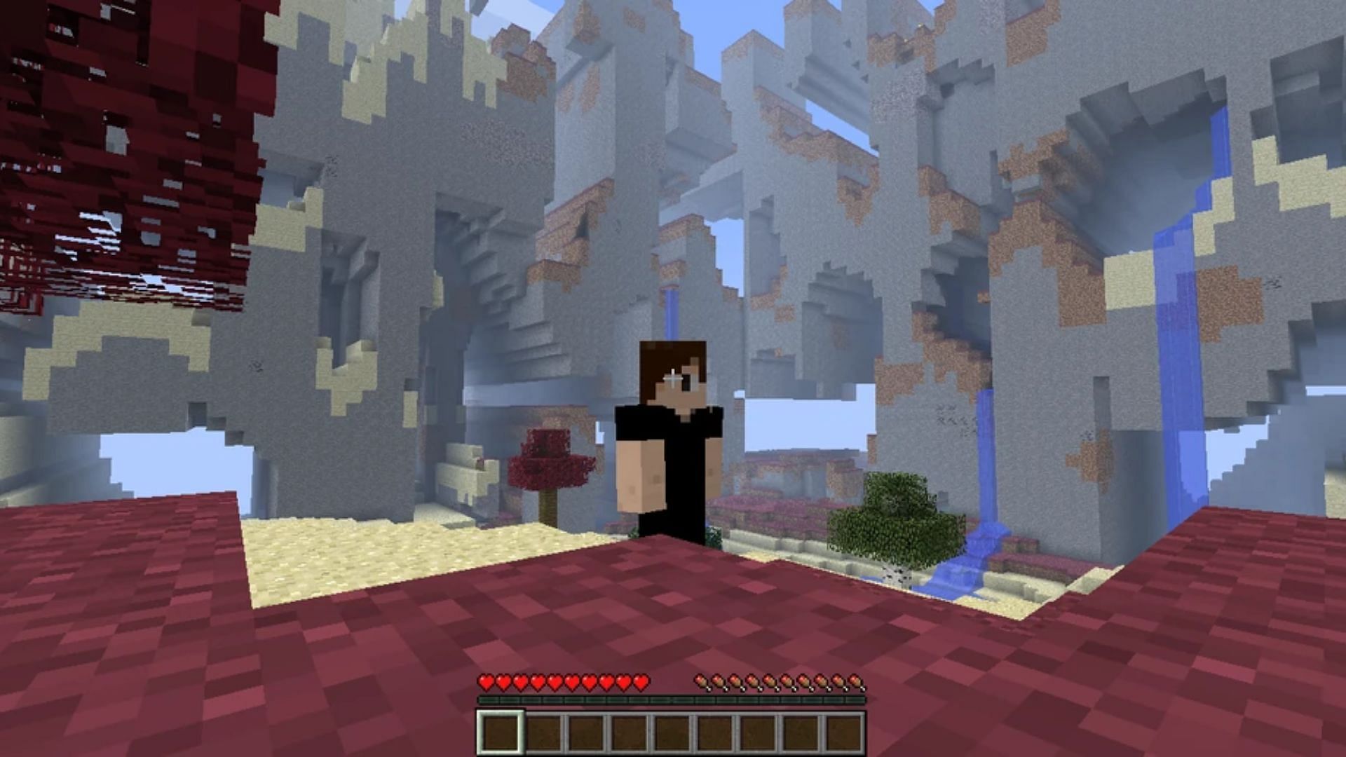 A screenshot from Minecraft (Image via Minecraft Fandom)