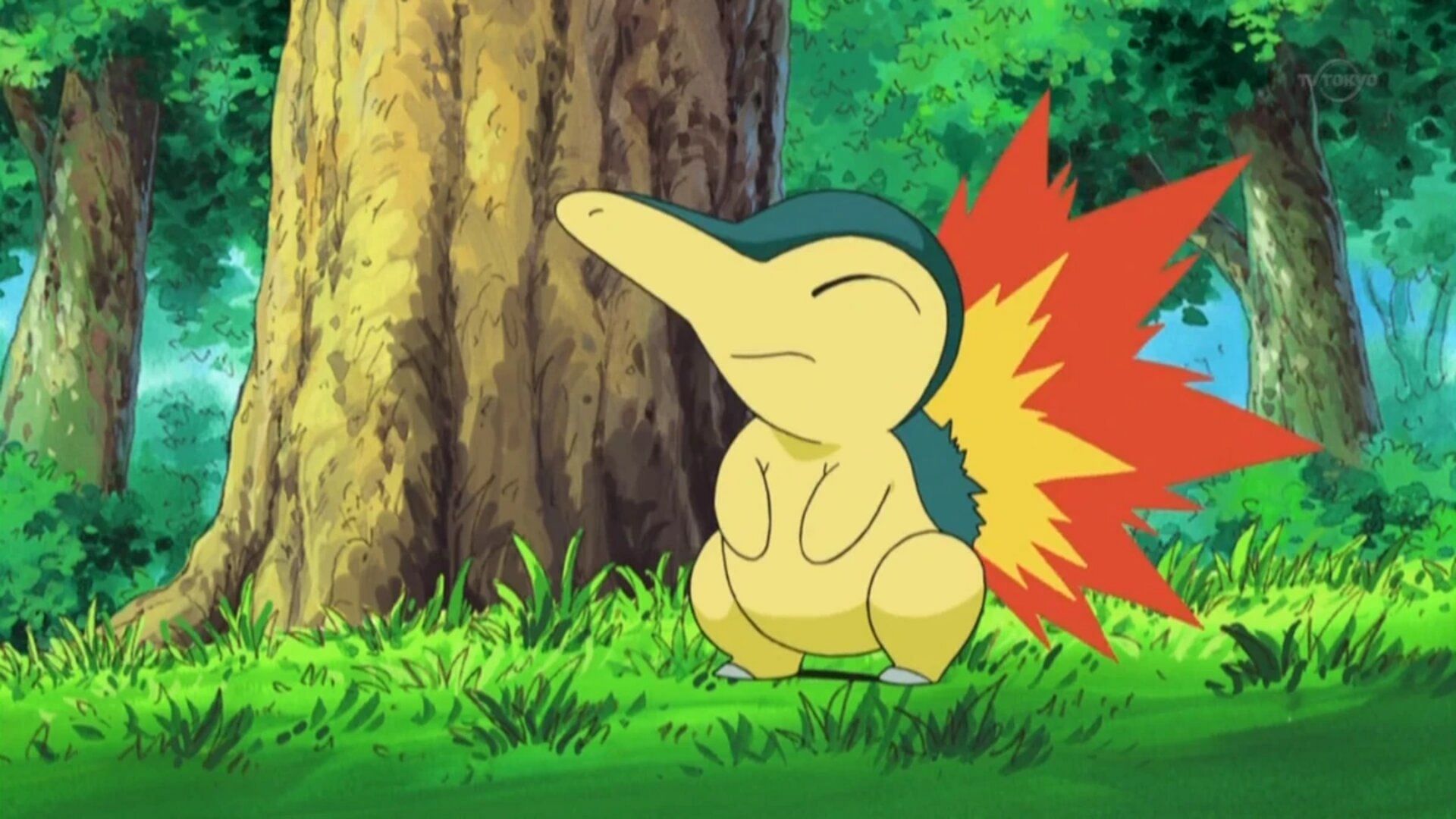 Cyndaquil as seen in the anime (Image via TPC)