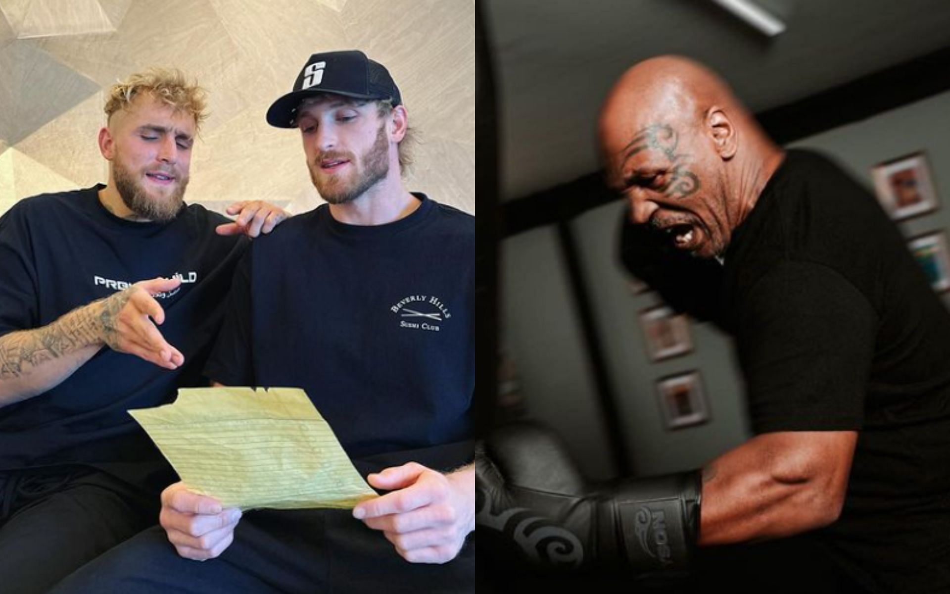 Jake Paul; Logan Paul; Mike Tyson