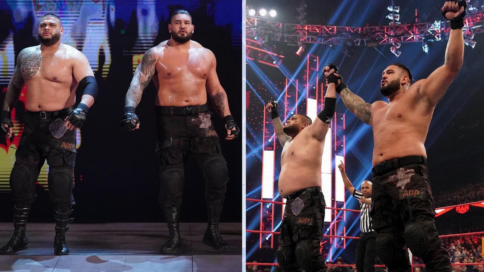 Authors of Pain
