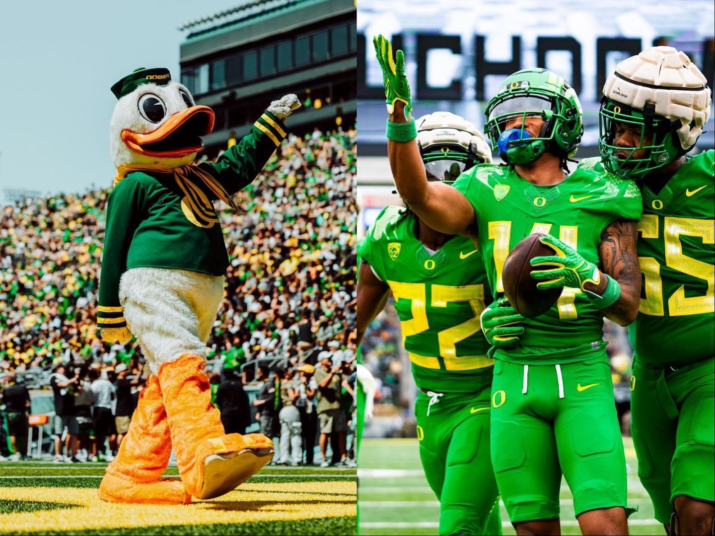 Oregon Ducks players and Oregon Ducks&rsquo; mascot collage