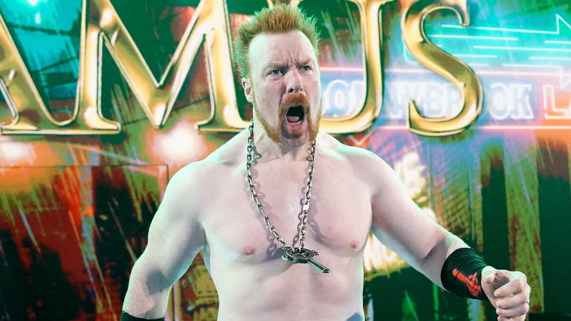Sheamus suffered a heartbreaking loss to Gunther two weeks ago