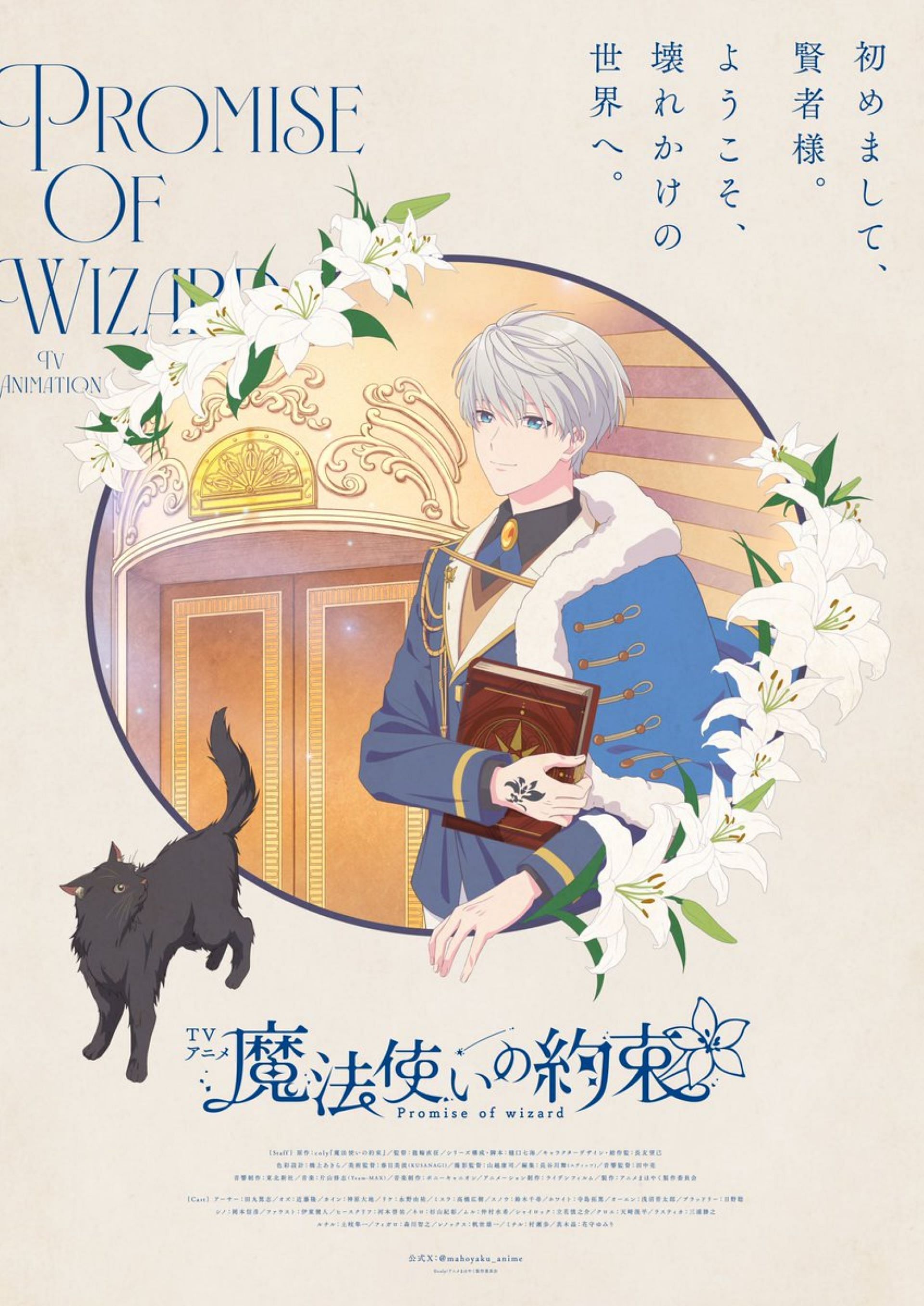 Promise of Wizard anime&#039;s teaser visual (Image via LIDEN FILMS)