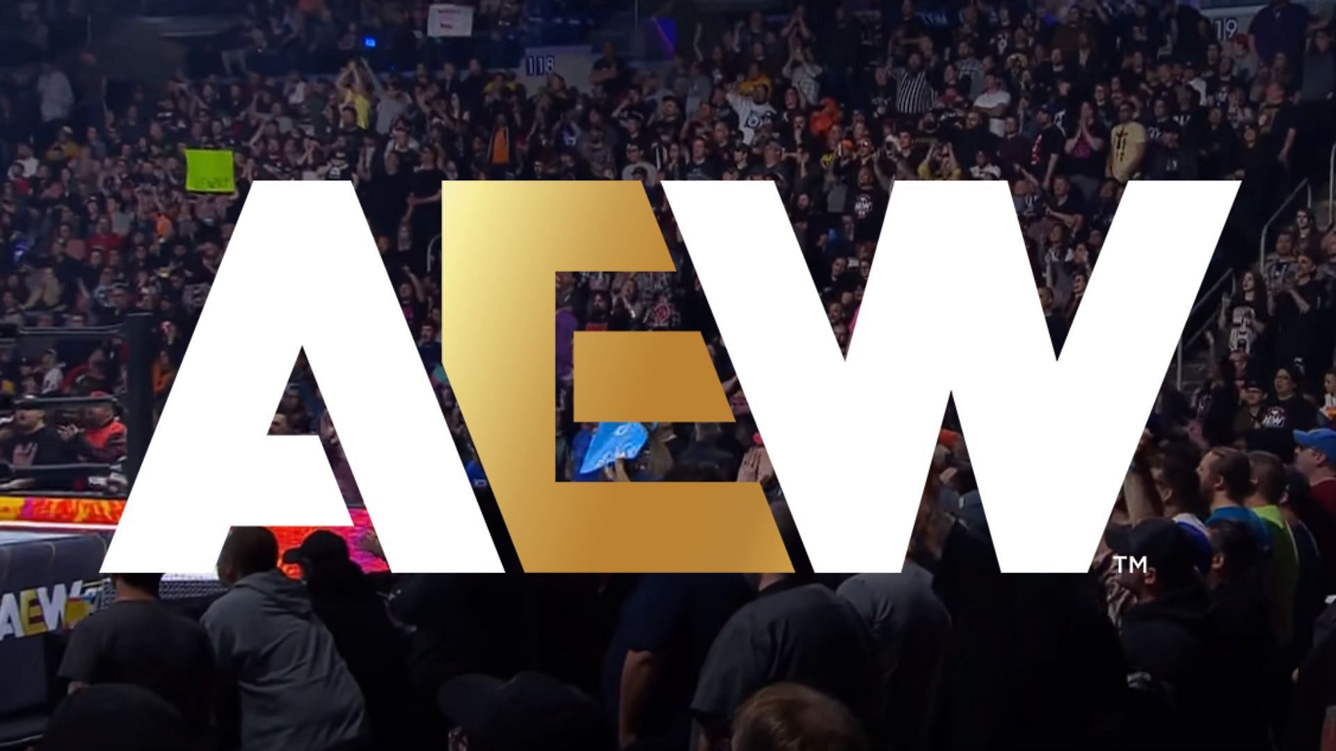 All Elite Wrestling is a Jacksonville-based promotion led by Tony Khan [Photo courtesy of AEW