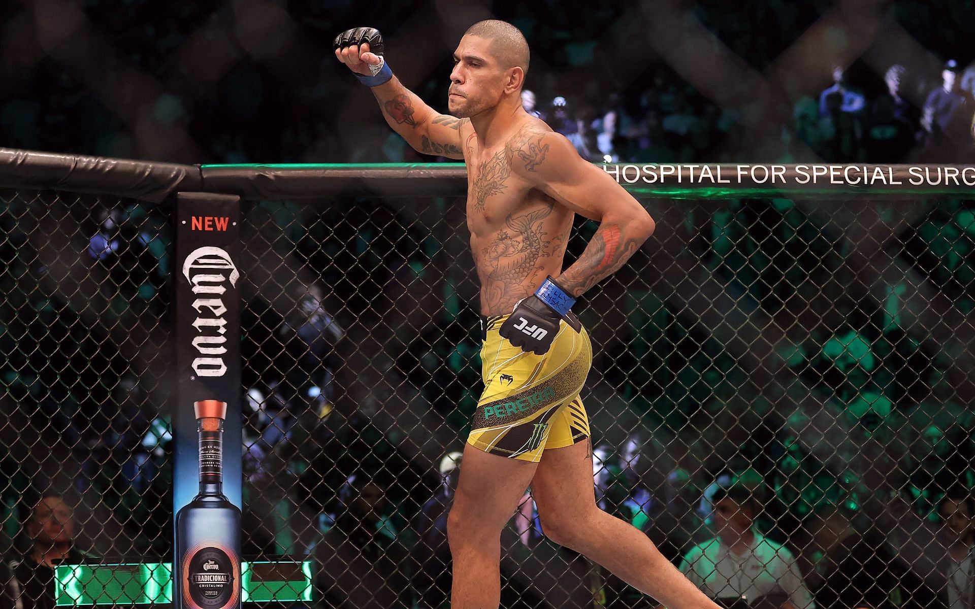Alex Pereira is beheld as one of the most beloved and skilled fighters in the UFC today [Image courtesy: Getty Images]
