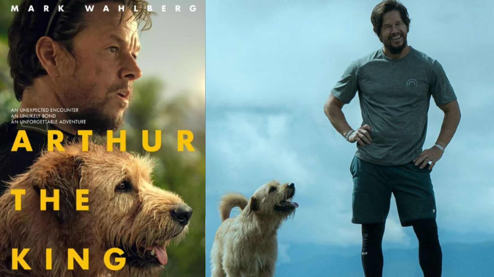 Scenes and posters from Arthur the King