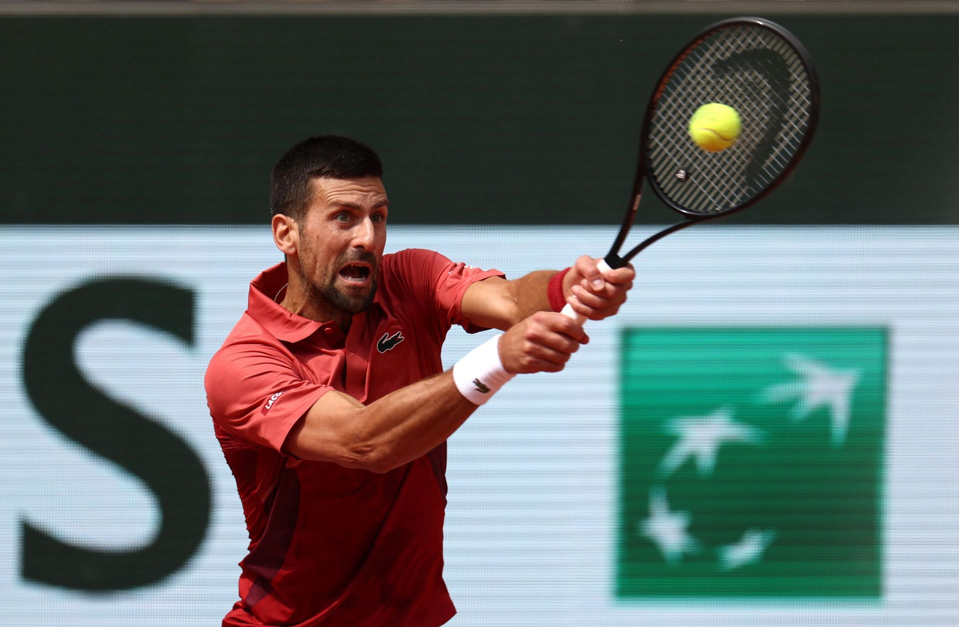 Novak Djokovic at the 2024 French Open.