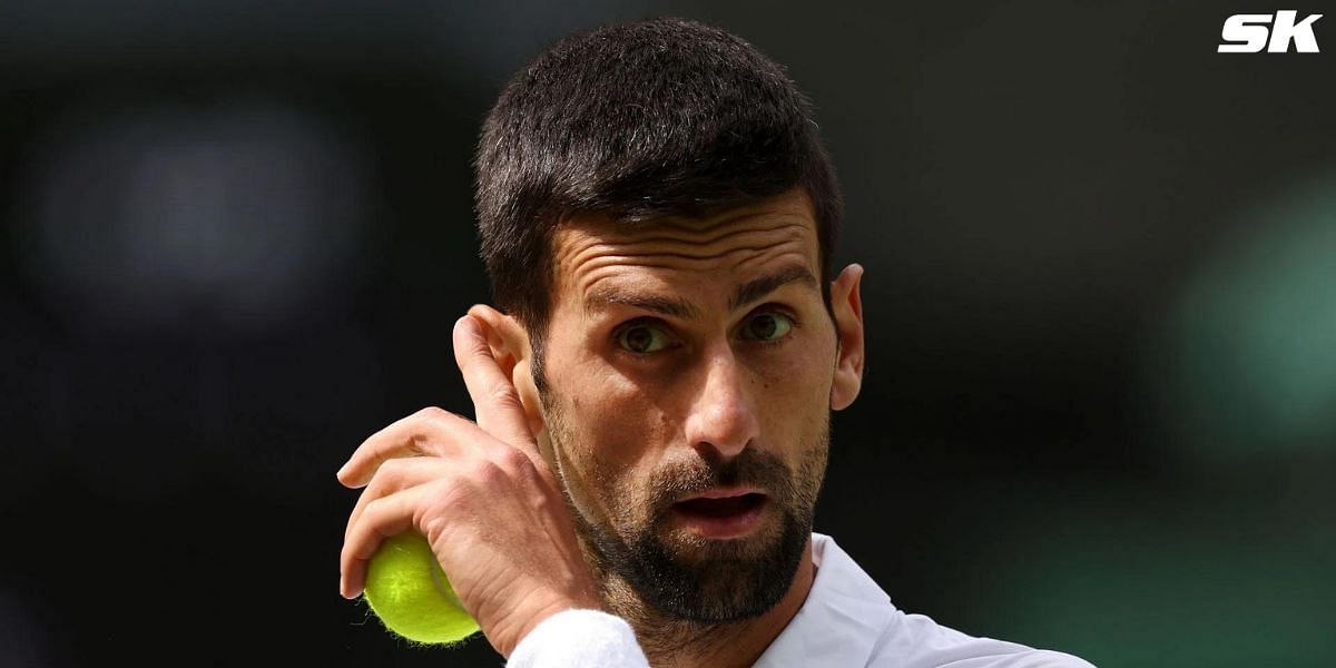 Fans cried foul after Novak Djokovic