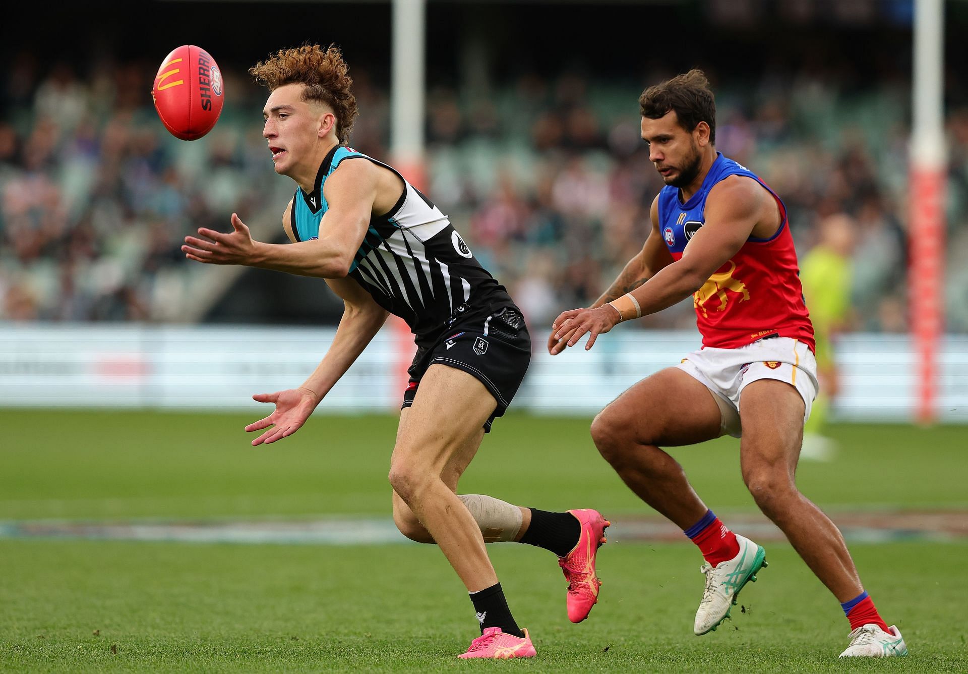 AFL Rd 15 - Port Adelaide v Brisbane- Logan Evans in Action (Credits: Getty)