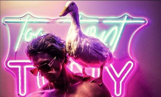 Tooturnttony&rsquo;s Profile, Net Worth, Age, Height, Relationships, FAQs