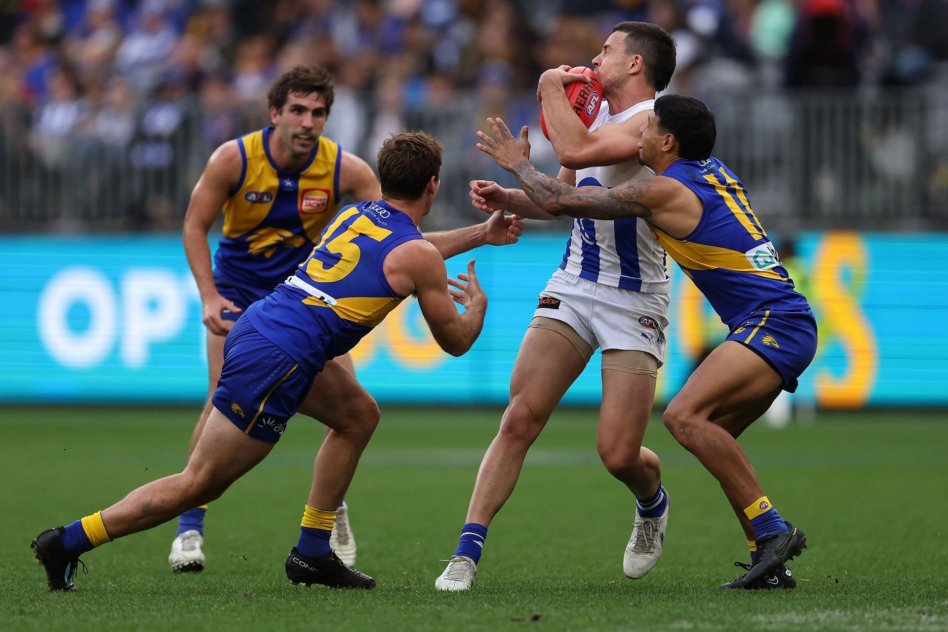 West Coast Eagles vs North Melbourne Prediction, Preview, Team News and ...