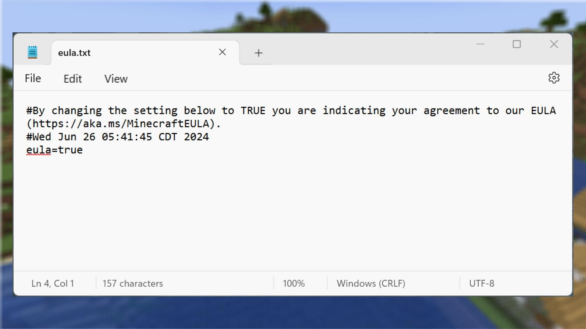 Updating the EULA is a vital part of the server creation process (Image via Windows)