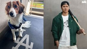"World wants to know what’s in Decoy’s backpack" - MLB fans swoon over Shohei Ohtani's adorable stroll with backpack-wearing pup at Dodger Stadium