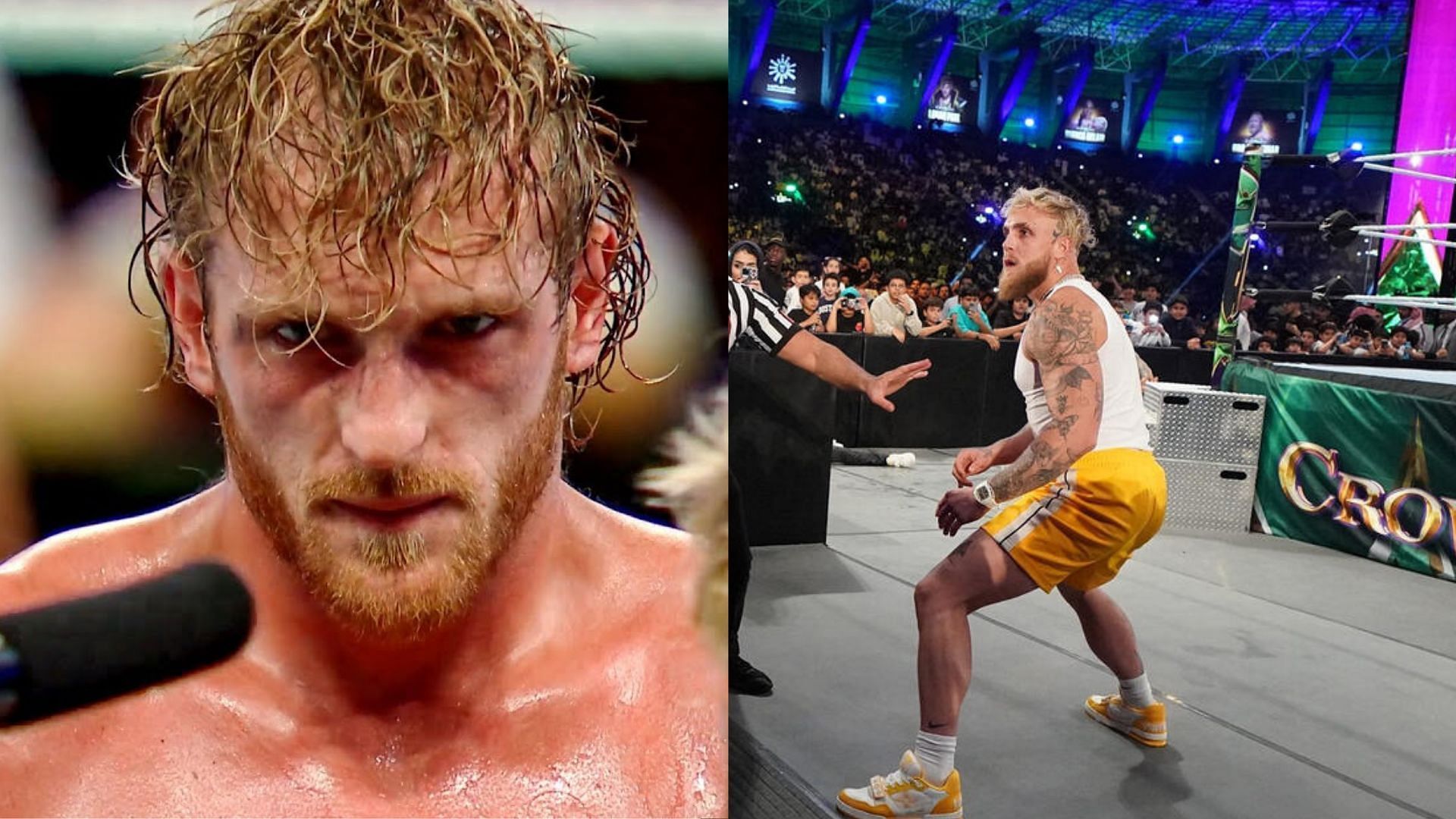 Logan Paul (left) and Jake Paul (right) [Image Credits: WWE.com]