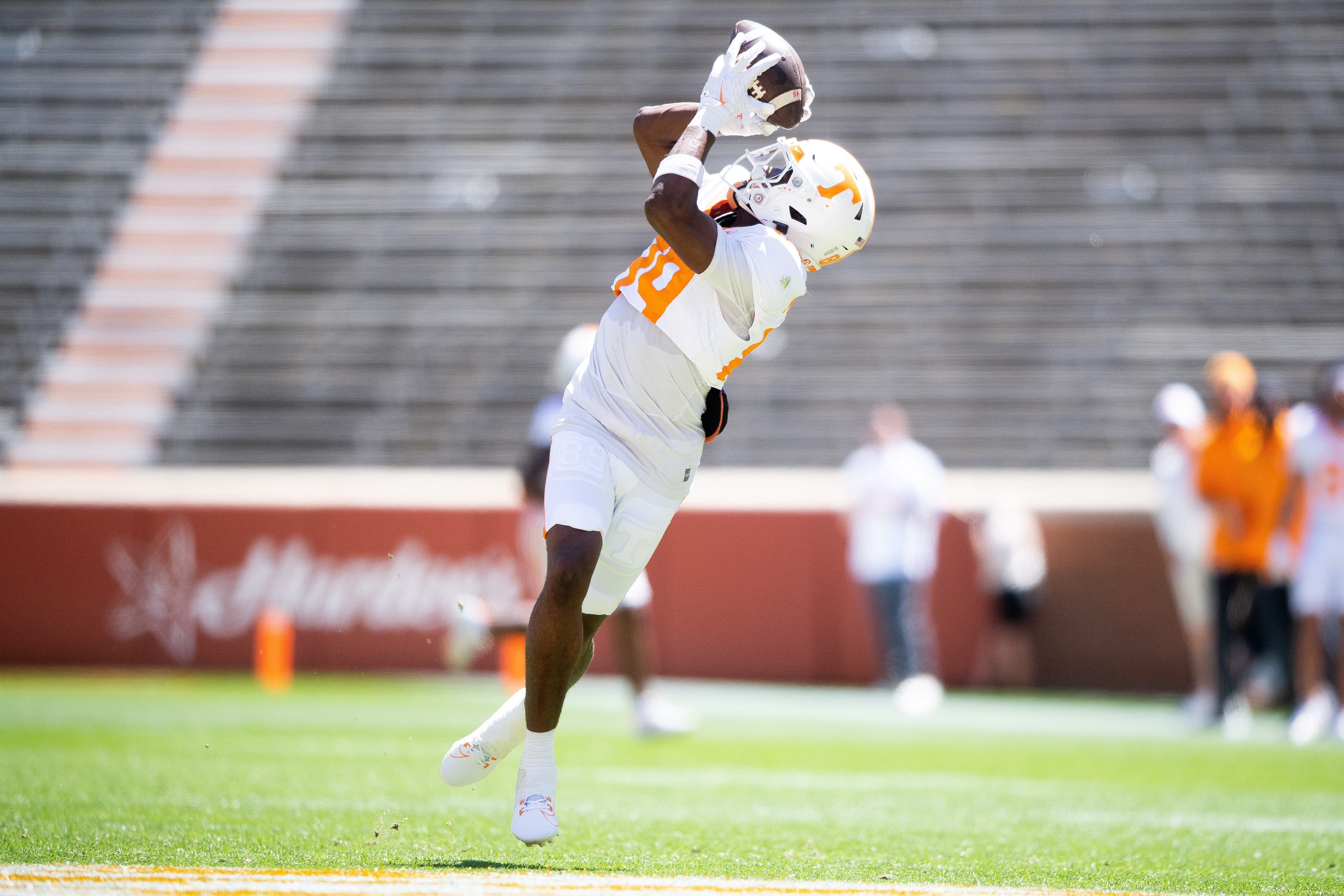 Tennessee WR Mike Matthews