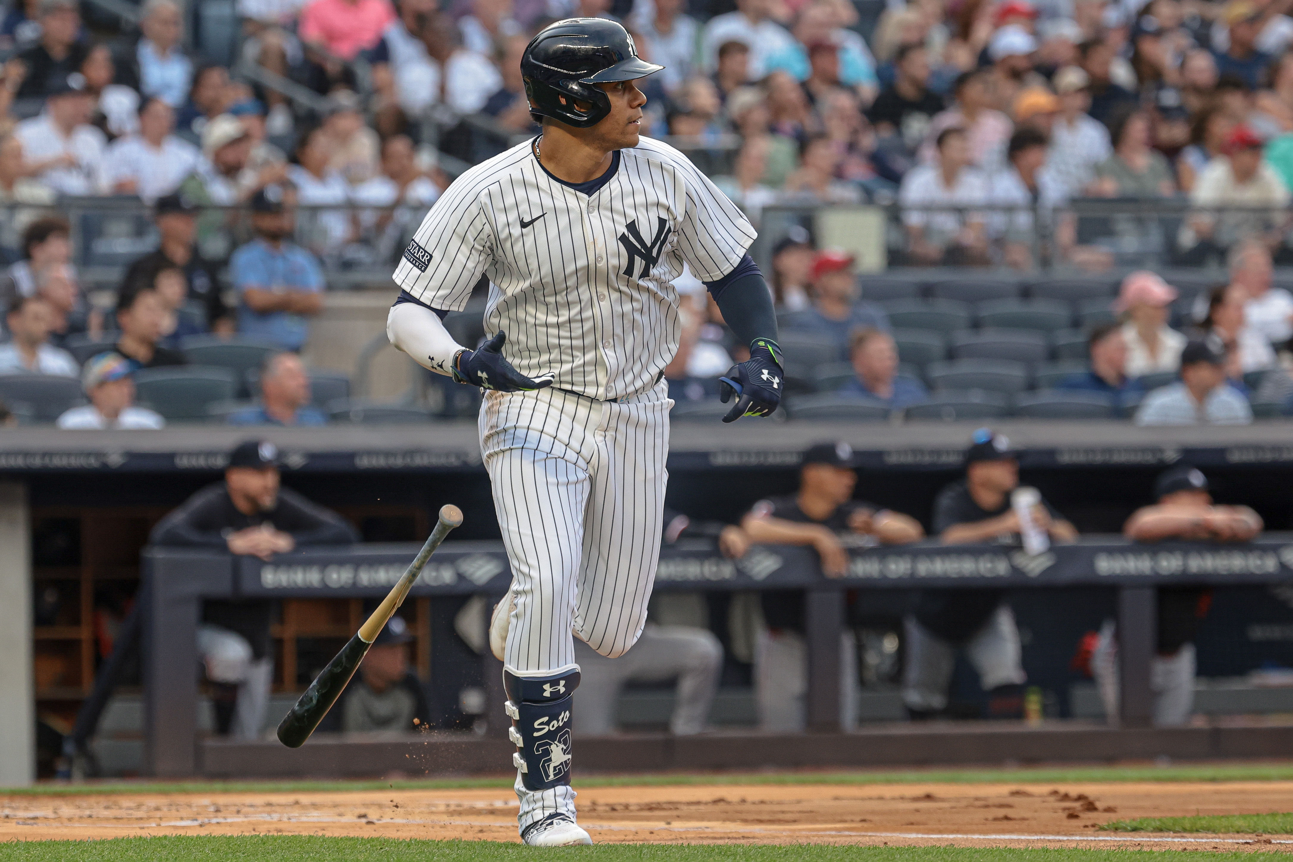 New York Yankees - Juan Soto (Image via USA Today)