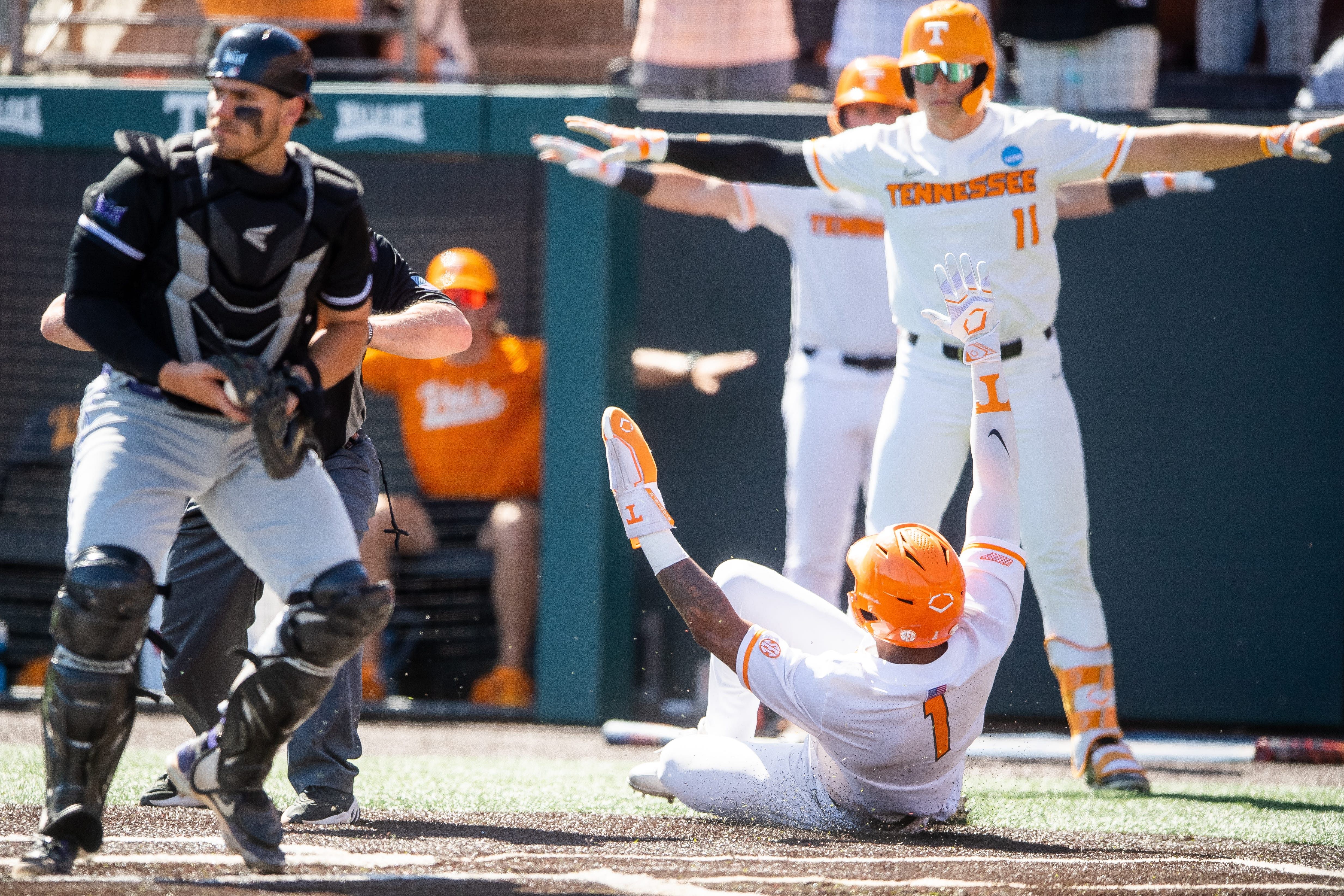 How Many Teams Go To The Men's College World Series? Eligibility ...