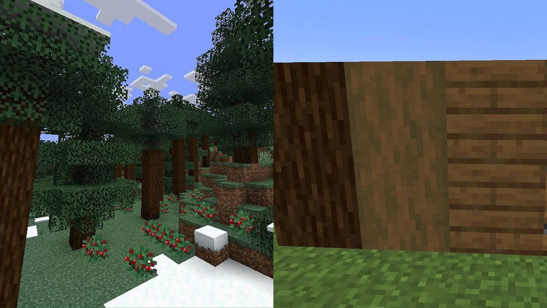 The spruce wood in Minecraft