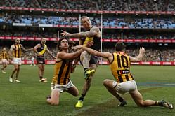 Richmond Tigers vs Hawthorn Hawks Prediction, Preview, Team News and More: AFL Round 14, 2024