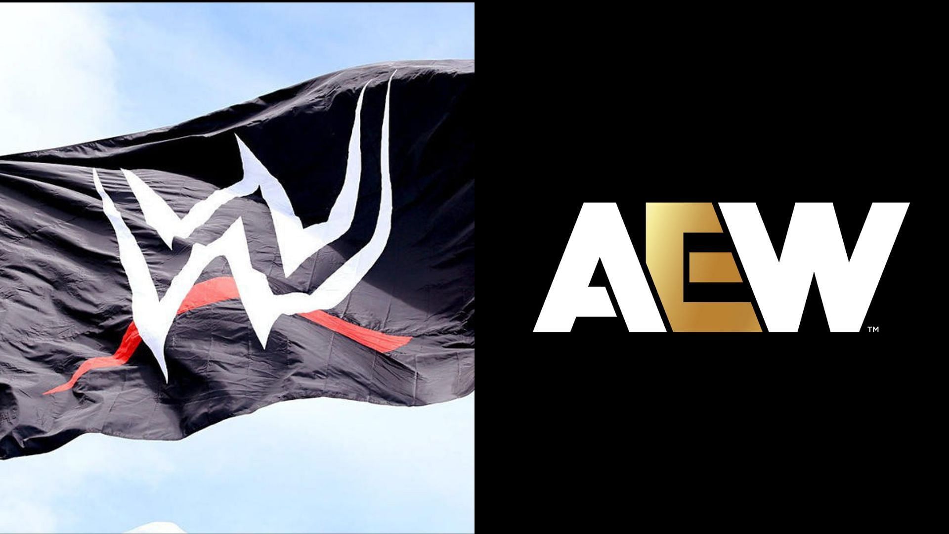 WWE and AEW are top players in the wrestling industry [Photo courtesy of WWE and AEW