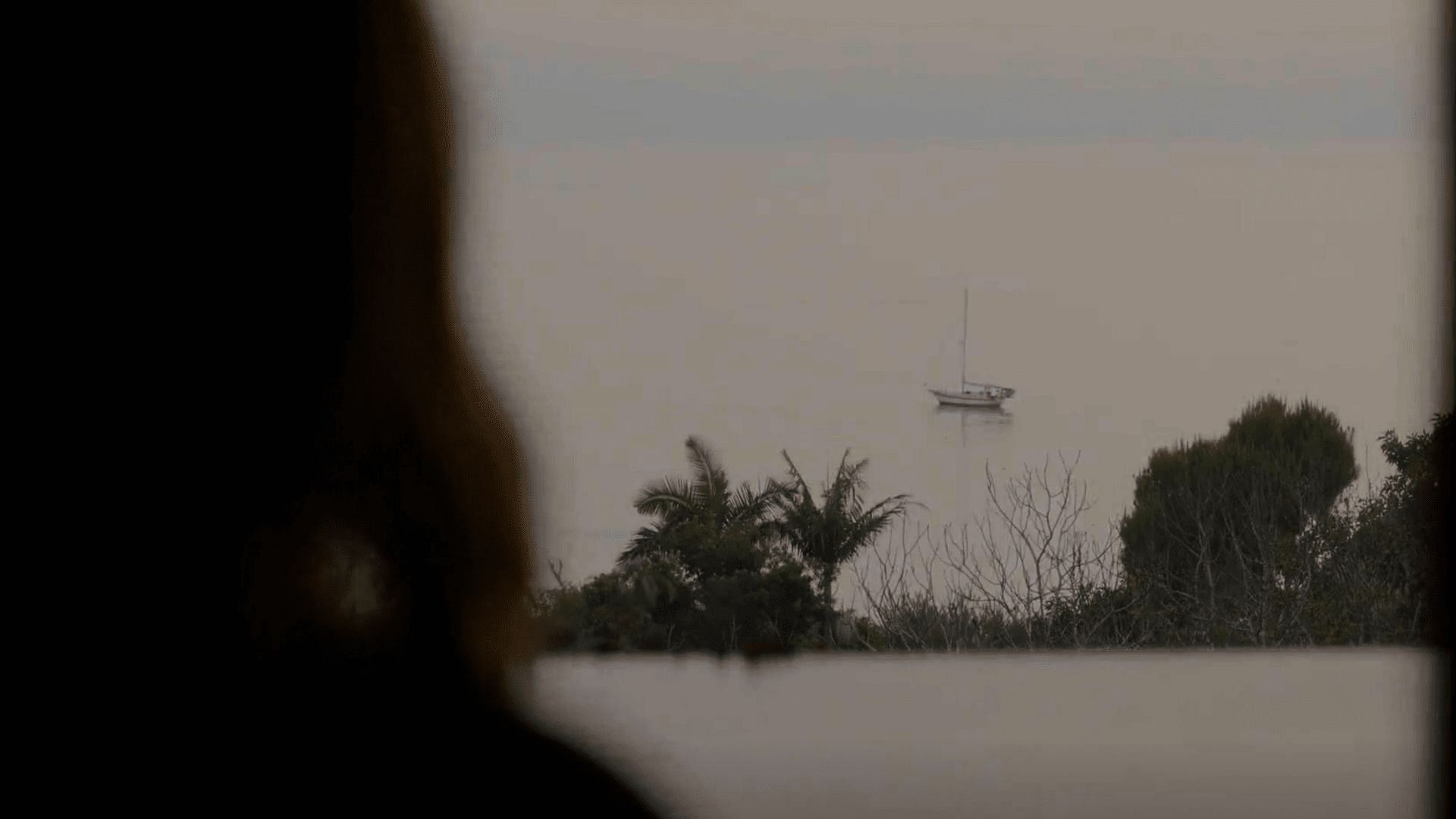 In the last episode of Dead to Me season 3, Judy finally dies (Image by Netflix)