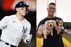 PHOTO: Yankees captain Aaron Judge spotted enjoying coffee date with furry companions Penny & Gus