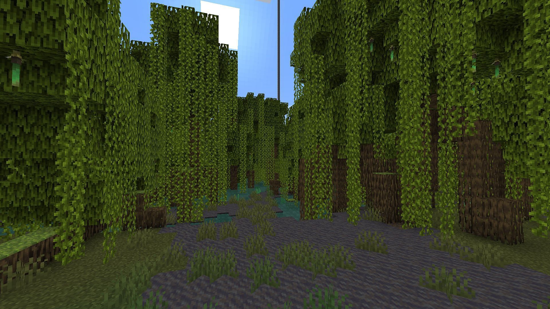 A mangrove swamp is less convenient for building the farm, but still a viable option (Image via Mojang)