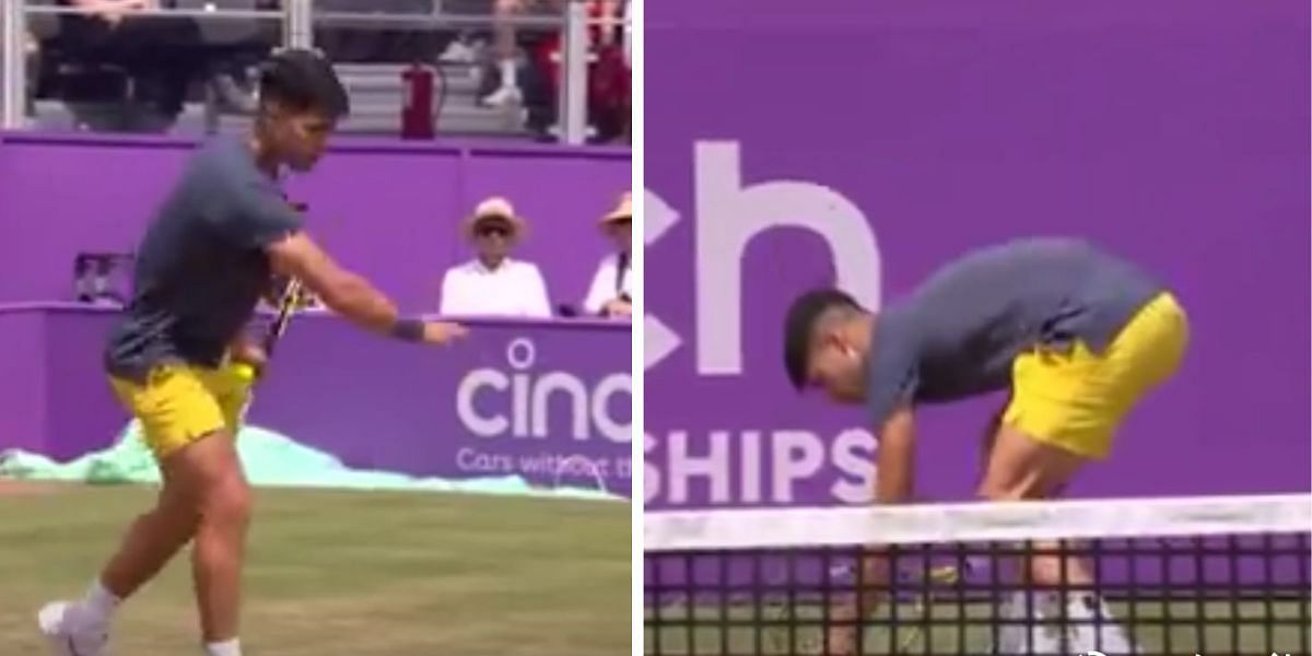 Carlos Alcaraz swatting the bee away: ( https://x.com/TennisTV)