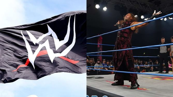 Matt Hardy reacts to top stars' shocking appearances on WWE TV